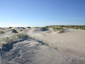 Romantische Zeit auf Amrum an der Nordsee I 5 Tage