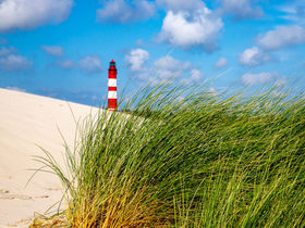 Romantische Zeit auf Amrum an der Nordsee  I 3 Tage