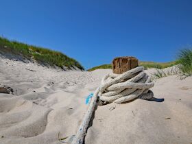 Frühbucher Winterkurzurlaub - Amrum zum Kennenlernen | 3 Tage