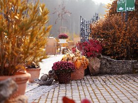 Ins Land der Franken fahren! Geschenk: fränkisches Biertragerl  3 Nächte