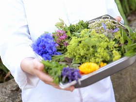 Ins Land der Franken fahren! Geschenk: fränkisches Biertragerl  3 Nächte