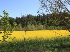 Ins Land der Franken fahren! Geschenk: fränkisches Biertragerl