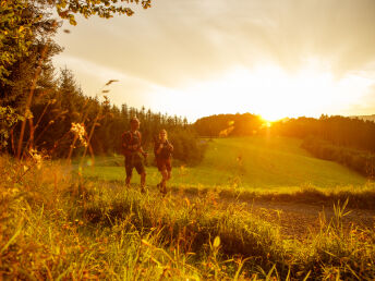 5 Tage Wanderzeit im Sauerland inkl. Dinner 