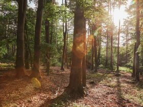 Trubel Adé - Langes Wochenende in Kühlungsborn