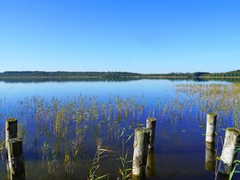 Bild 24 von 30