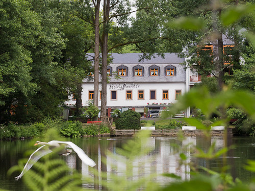 Land-gut-Hotel Heidsmühle
