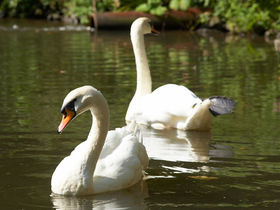 Wanderauszeit am Eifelsteig inkl. HP | 4 Tage
