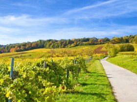 Weihnachtszauber in der Pfalz inkl. Abendessen