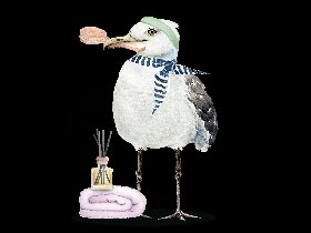 Friesen-Wellness in Carolinensiel 3N