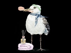 Friesen-Wellness  in Carolinensiel 5N