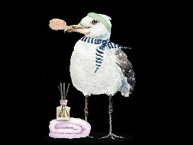 Friesen-Wellness  in Carolinensiel 6N