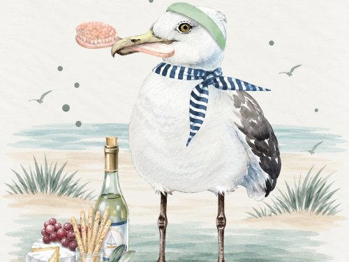 Friesen-Glück in Carolinensiel 6N