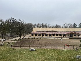 Pferdemädchen-Special