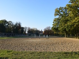 Pferdemädchen-Special