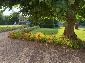 Pferdemädchen-Special im Bernsteinschloss Wendorf