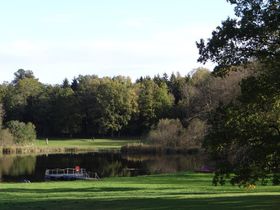 Pferdemädchen-Special