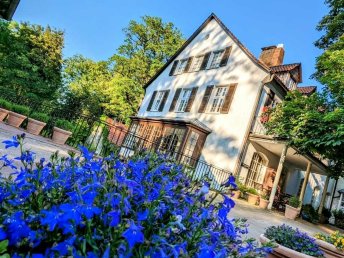 Pfötchenurlaub - 3 Tage im Silberbachtal im Teutoburger Wald 2