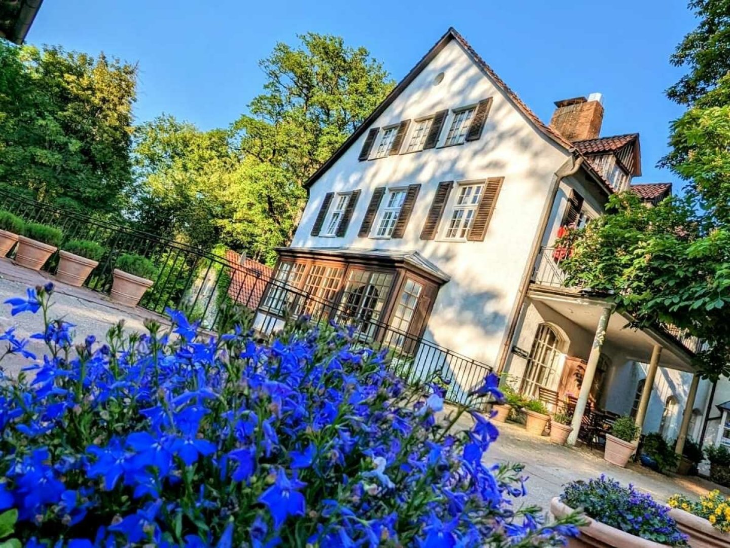 Pfötchenurlaub - 3 Tage im Silberbachtal im Teutoburger Wald 2