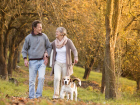 Erholung pur April Angebot - 4 Tage im Silberbachtal im Teutoburger Wald  
