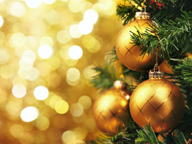 Weihnachten im Sauerland mit Halbpension | 4 Tage