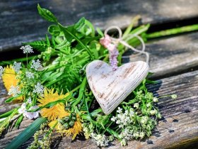 Traumtage zum Sparpreis 