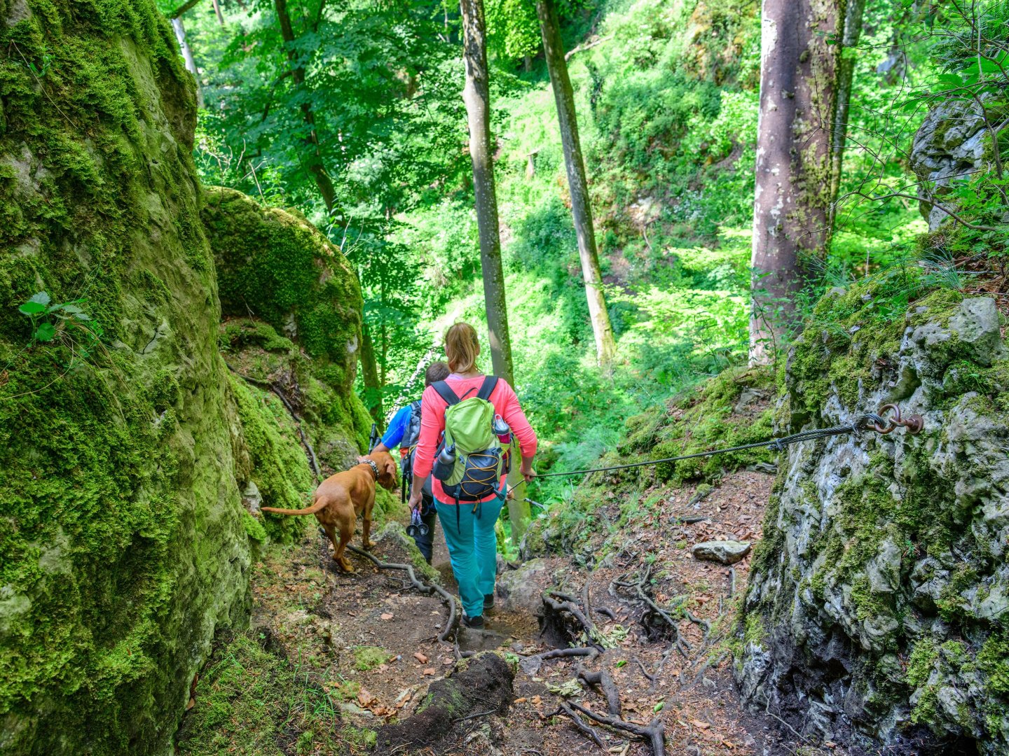 LandLust genießen