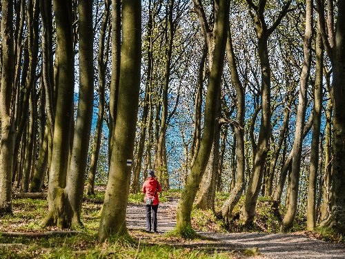 Wandern im Nationalpark Jasmund - Natur, Entspannung und Genuss