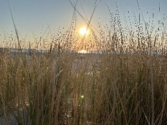 Bild 28 von 37