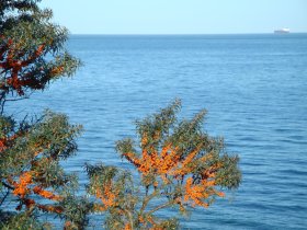 Silvester / Neujahr mit Turmleuchten in Warnemünde