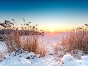Ihre kleine Auszeit auf der Insel Usedom 2