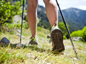 Aktiv-Tage mit Wandern oder Nordic Walking ,,Hier läuft der Trend