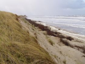  Maritime Winter-Wellness- 6 Tage auf Langeoog   