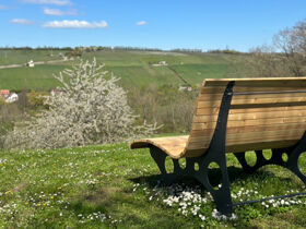 Relax- und Wellnesstage mit Massage im Frankenland