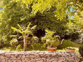 Wander-Erlebnistage an der Mosel inkl. Schiff- und Fährfahrt 