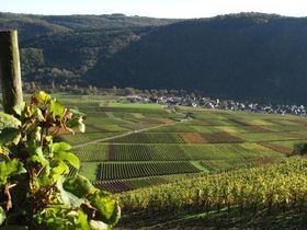 6 Tage Mosel-Kurzurlaub  Schnäppchen inkl. Schifffahrt