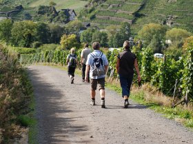 3 Tage entspannter Wanderurlaub an der Mosel  