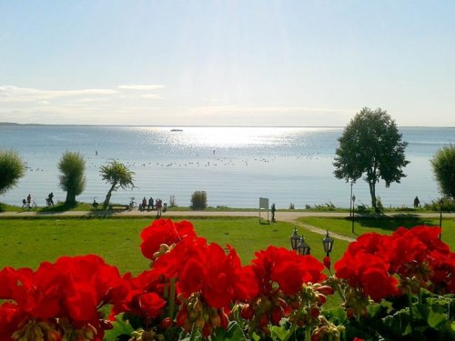Seehotel Schloss Klink
