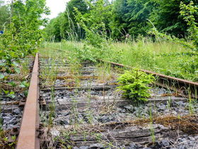 Aktiv & Relax im Sauerland - 6 Tage