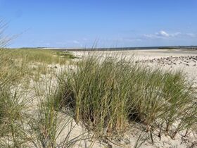 Schnupperaufenthalt auf der Ostfriesischen Insel Borkum