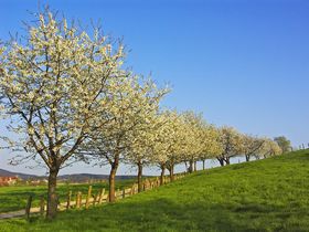 Landhotel Genießer-Tage in der Teutoburger Wald Region inkl. Abendessen | 3 Tage
