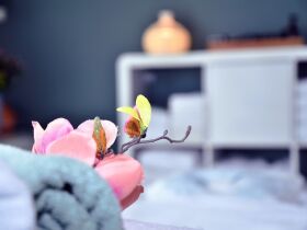 Meerglück  - Ihre Aktivtage am Ostseestrand