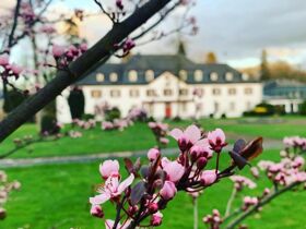 Eine fürstliche Nacht im Schloss Auel