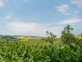 Wandern auf dem Herzweg inkl. Halbpension & romantisches Bad |4 Tage