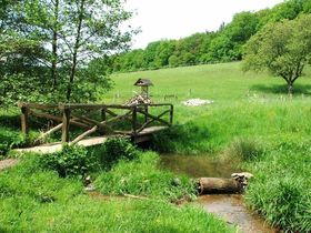 Wandern auf dem Herzweg inkl. Halbpension & romantisches Bad |4 Tage