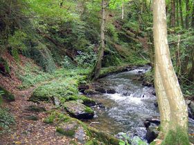 Wandern auf dem Herzweg inkl. Halbpension & romantisches Bad |4 Tage