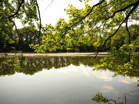 Winterwandern in der Rhön - Wanderangebot für Naturliebhaber 2 Nächte