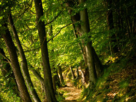 Zieh an die Wanderschuh - 3 Tage in der Rhön in Thüringen