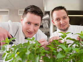 3=2 Frische Brise in Tönning inkl. 1 x Abendessen