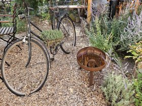 8 Tage Usedom, Urlaub auf der Sonneninsel, direkt am Meer 