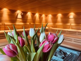 Kurzurlaub an der Müritz inkl. MüritzTherme